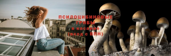 2c-b Лиски