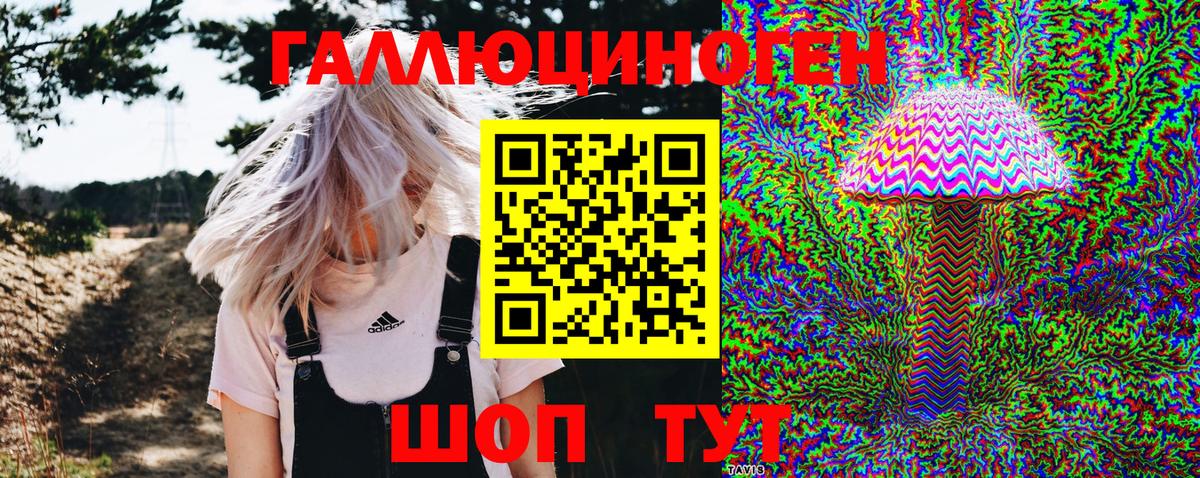 Галлюциногенные грибы Psilocybine cubensis  Вход с VPN  Топки  Псилоцибиновые грибы Cubensis 