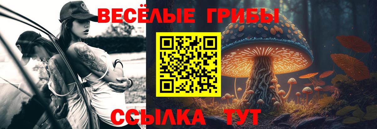Галлюциногенные грибы Magic Shrooms Топки